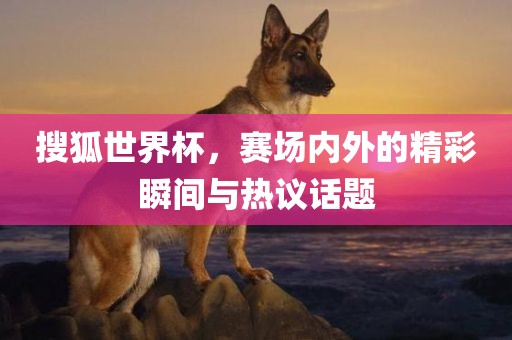 搜狐世界杯，赛场内外的精彩瞬间与热议话题