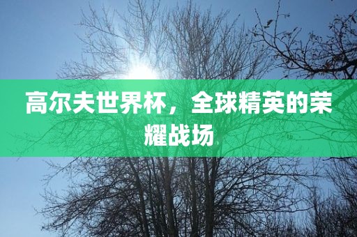 高尔夫世界杯，全球精英的荣耀战场