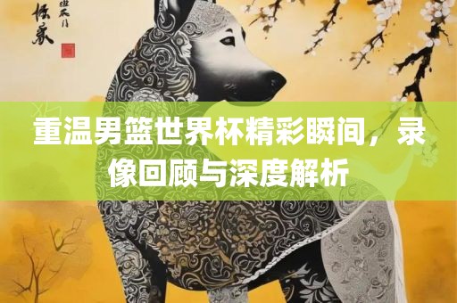 重温男篮世界杯精吉安市靖泰电力工程有限公司彩瞬间，录像回顾与深度解析