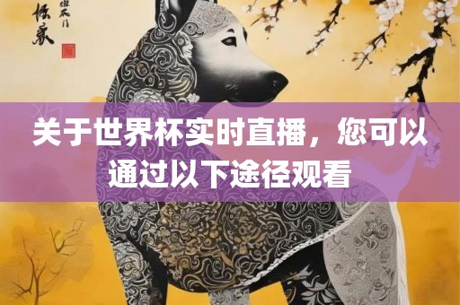 关于世界杯实时直播，您可以通过以下途径观看