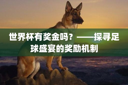 世界杯有奖金吗？——探寻足球盛宴的奖励机制