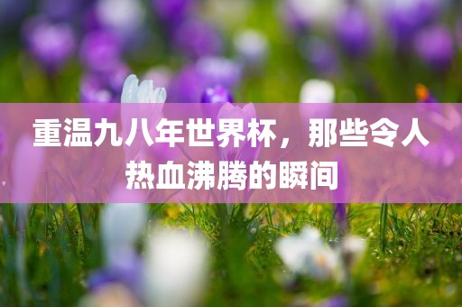 重温九八年世界杯，那些吉安市靖泰电力工程有限公司令人热血沸腾的瞬间