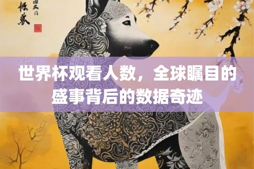 世界杯观看人数，全球瞩目的盛事背后的数据奇迹