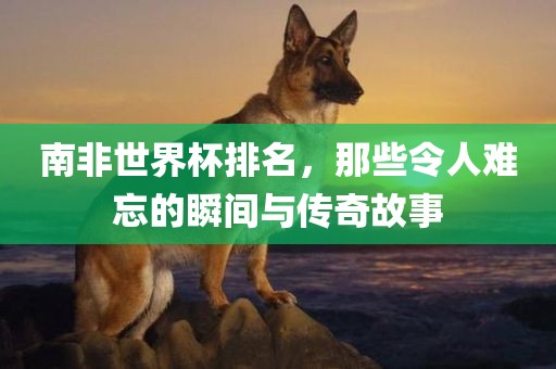 南非世界杯排名，那些令人难忘的瞬间与传奇故事