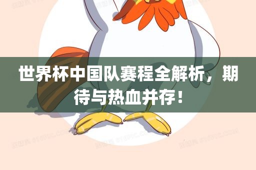 世界杯中国队赛程全解析，期待与热血并存！