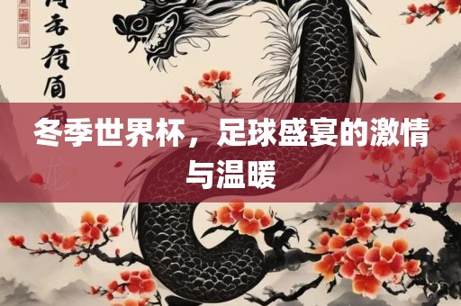 冬季世界杯，足球盛宴的激情与温暖吉安市靖泰电力工程有限公司