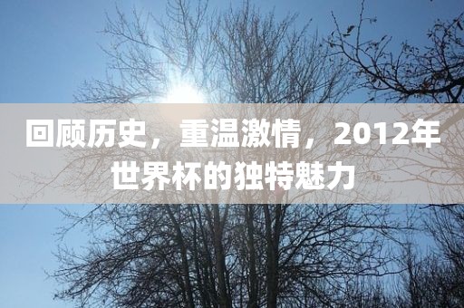 回顾历史，重温激情，2012年世界杯的独特魅力吉安市靖泰电力工程有限公司