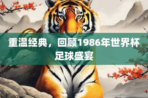 重温经典，回顾1986年世界杯足球盛宴吉安市靖泰电力工程有限公司