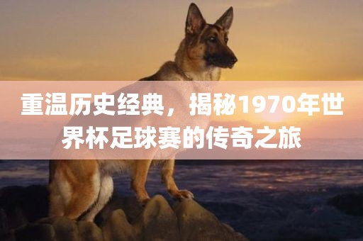 重温历史吉安市靖泰电力工程有限公司经典，揭秘1970年世界杯足球赛的传奇之旅