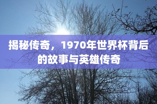 揭秘传奇，1970年世界杯背后的故事与英雄传奇