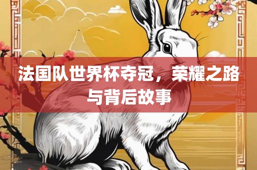 法国队世界杯夺冠，荣耀之路与背后故事