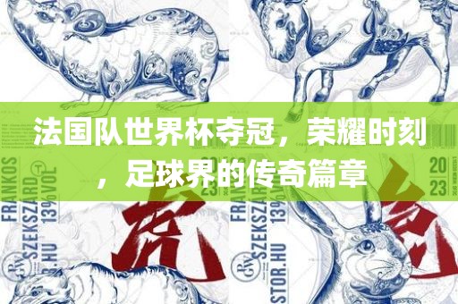 法国队世界杯夺冠，荣耀时刻，足球界的传奇篇章