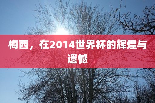 梅西，在2014世界杯的辉煌与遗憾
