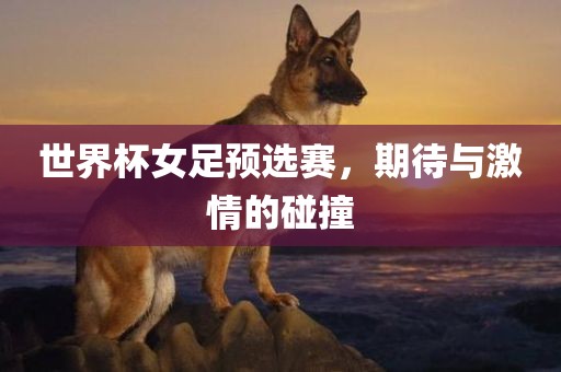 世界杯女足预选赛，期待与激情的碰撞
