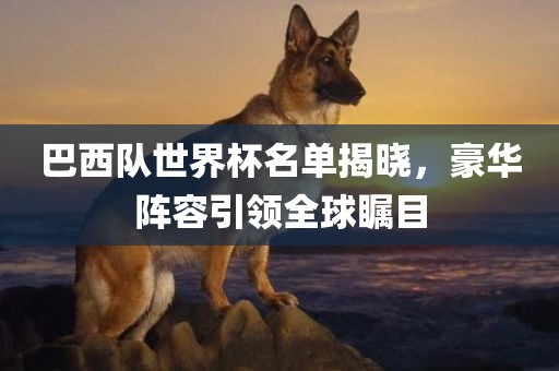 巴西队世界杯名单揭晓，豪华阵容引领全球瞩目