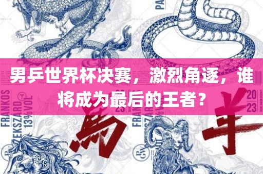 男乒世界杯决赛，激烈角逐，谁将成为最后的王者？