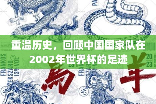重温历史，回顾中国国家队在2002年世界杯的足迹