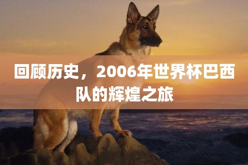 回顾历史，2006年世界杯巴西队的辉煌之旅