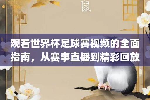 观看世界杯足球赛视频的全面指南，从赛事直播到精彩回放吉安市靖泰电力工程有限公司