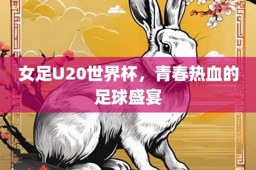 女足U20世界杯，青春热血的足球盛宴