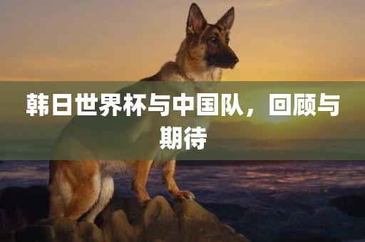 韩日世界杯与中国队，回顾与期待