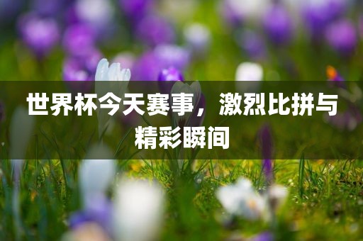 世界杯今天赛事，激烈比拼与精彩瞬间