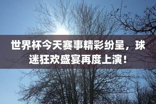世界杯今天赛事精彩纷呈，球迷狂欢盛宴再度上演！