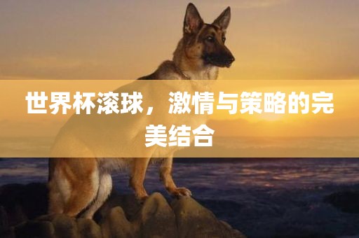 世界杯滚球，激情与策略的完美结合