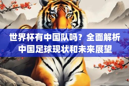 世界杯有中国队吗？全面解析中国足球现状和未来展望