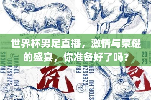 世界杯男足直播，激情与荣耀的盛宴，你准备好了吗？