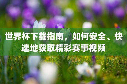 世界杯下载指南，如何安全、快速地获取精彩赛事视频