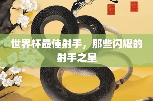 世界杯最佳射手，那些闪耀的射手之星