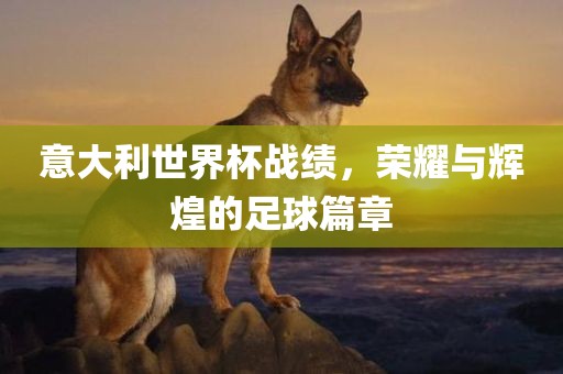意大利世界杯战绩，荣耀与辉煌的足球篇章