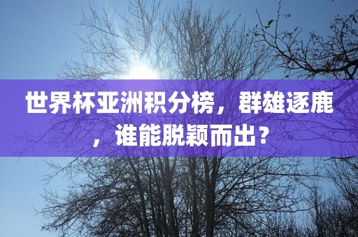 世界杯亚洲积分榜，群雄逐鹿，谁能脱颖而出？