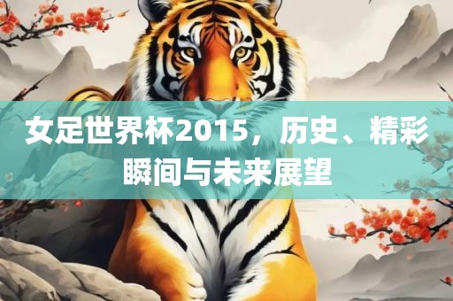 女足世界杯2015，历史、精彩瞬间与未来展望