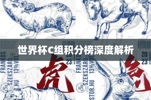 世界杯C组积分榜深度解析