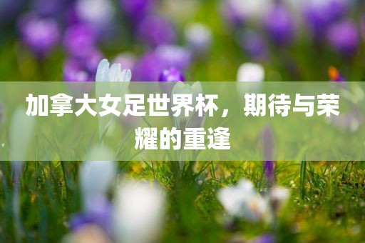 加拿大女足世界杯，期待与荣耀的重逢