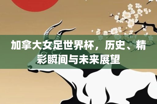 加拿大女足世界杯，历史、精彩瞬间与未来展望吉安市靖泰电力工程有限公司
