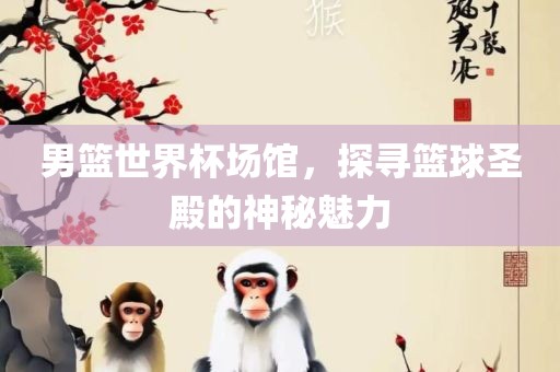 男篮世界杯场馆，探寻篮球圣殿的神秘魅力