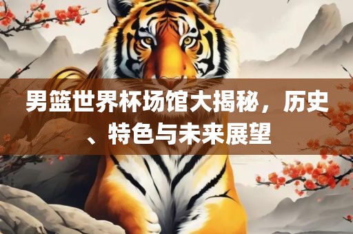 男篮世界杯场馆大揭秘，历史、特色与未来展望