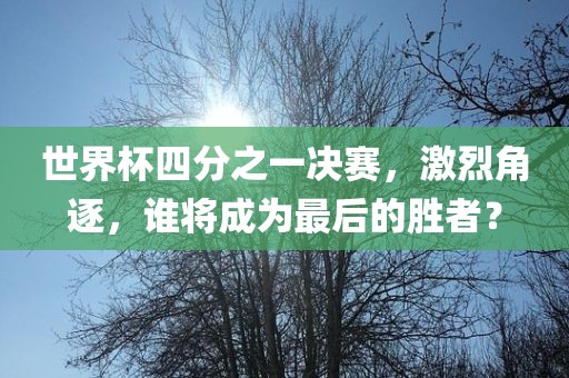 世界杯四分之一决赛，激烈角逐，谁将成为最后的胜者？