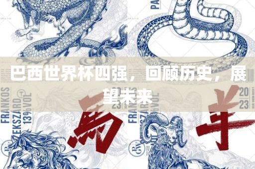 巴西世界杯四强，回顾历史，展望未来