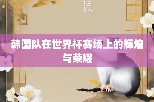 韩国队在世界杯赛场上的辉煌与荣耀