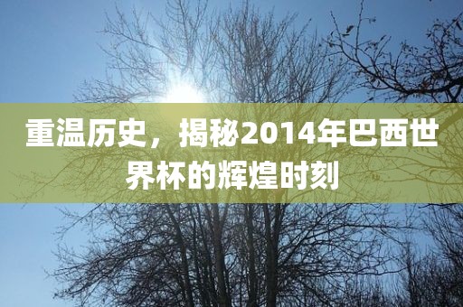 重温历史，吉安市靖泰电力工程有限公司揭秘2014年巴西世界杯的辉煌时刻