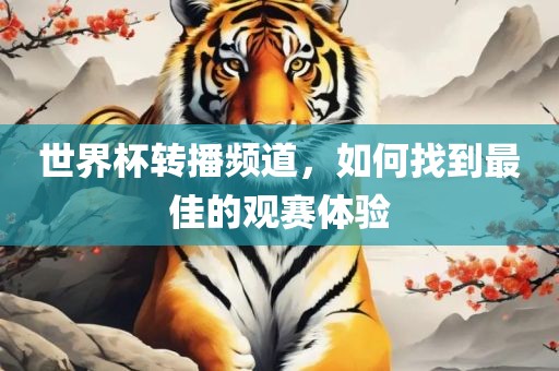 世界杯转播频道，如何找到最佳的观赛体验