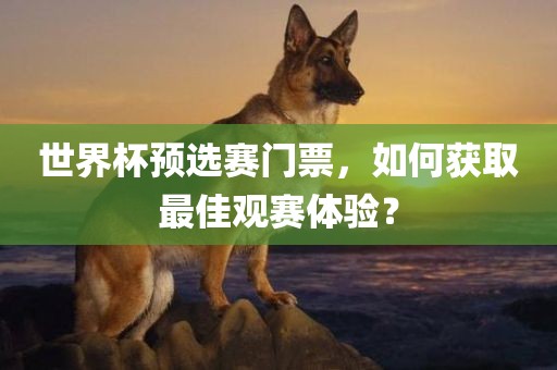 世界杯预选赛门票，如何获取最佳观赛体验？