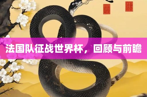 法国队征战世界杯，回顾与前瞻