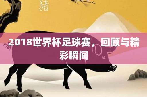 2018世界杯足球赛，回顾与精彩瞬间