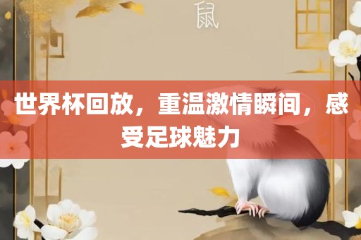 世界杯回放，重温激情瞬间，感受足球魅力