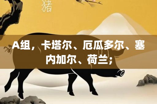 A组，卡塔尔、厄瓜多尔、塞内加尔、荷兰；